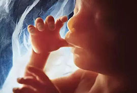 避免堕胎：宫内节育器拦截精卵结合